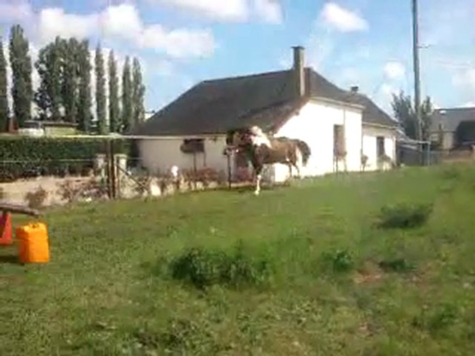 indiana obstacle an liberté2