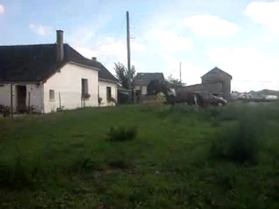 indiana obstacle an liberté3