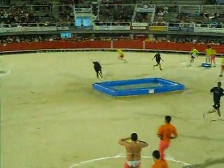 jeux avec la vachette  Janette