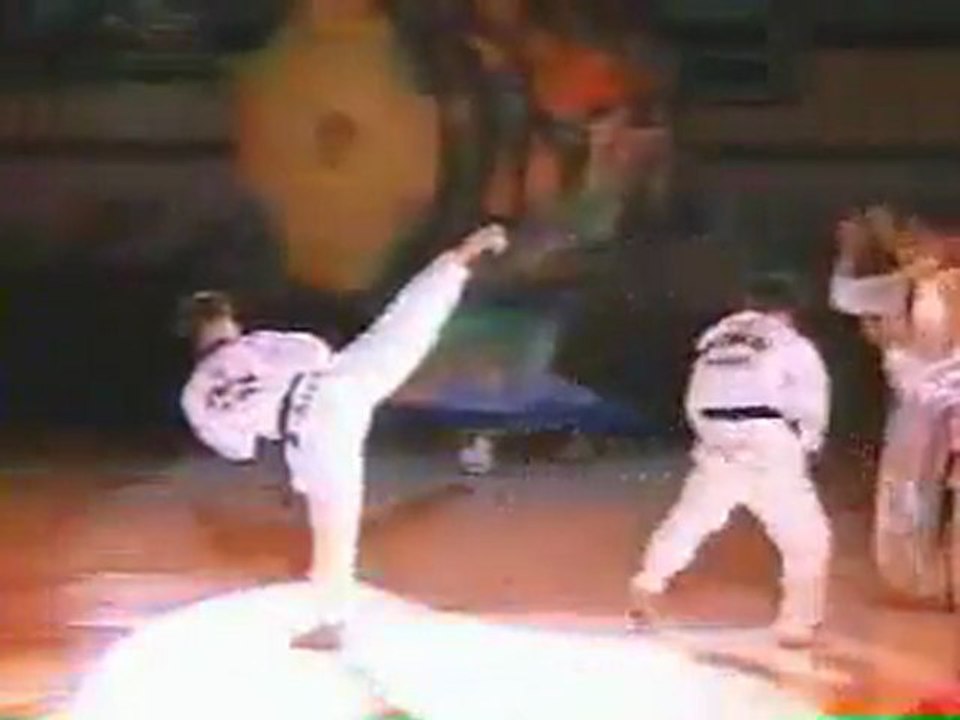Taekwondista che fa 30 kick in 10 sec !!