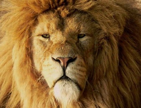 LUTAN FYAH FT JAH VICTORY One at a time