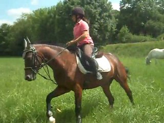 Dressage, Simbad et Gwen , le 14 juillet 2011.