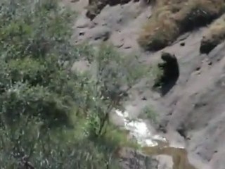 Evidence - Clip #2 Sighting