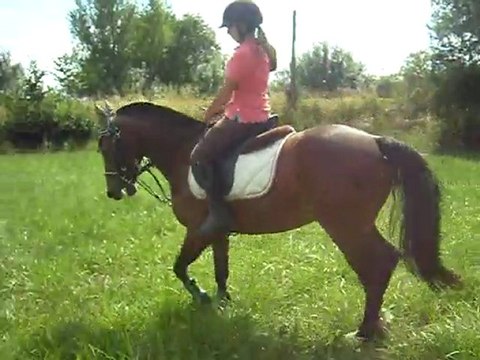 Dressage, Simbad et Gwen , le 14 juillet 2011. II