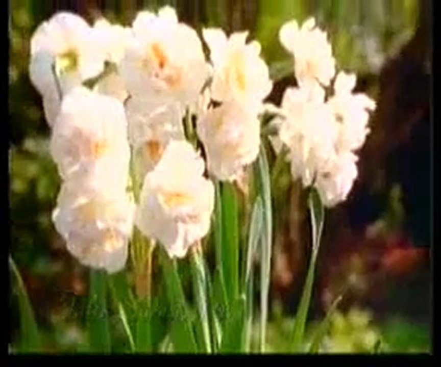 Kuran Meali: Fatır Suresi 9-35