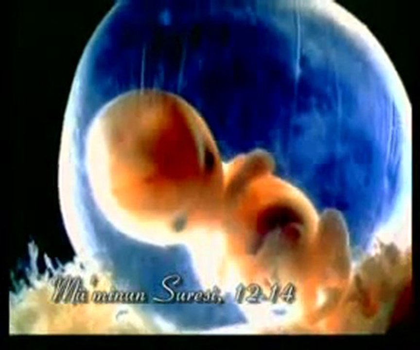 Kuran Meali: Müminun Suresi 1-22