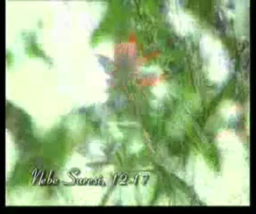 Kuran Meali: Nebe Suresi 1-31