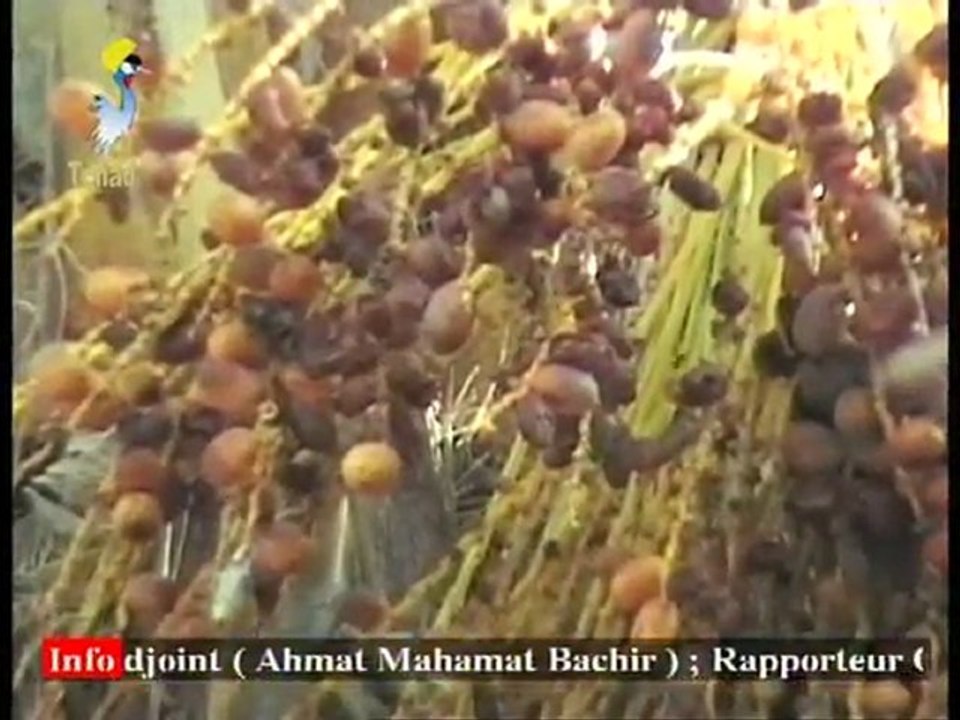 LE KANEM TCHAD DU 14 JUILLET 2011 SUR TCHADONLINE.TV