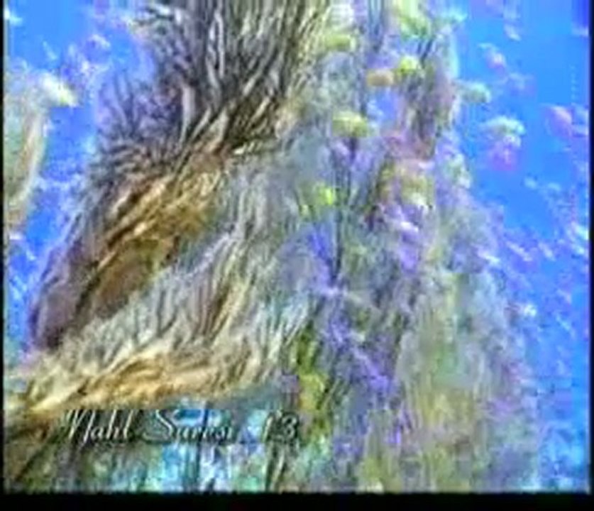 Kuran Meali: Nahl Suresi 1-26