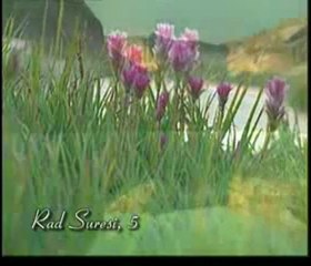 Kuran Meali: Rad Suresi 1-11