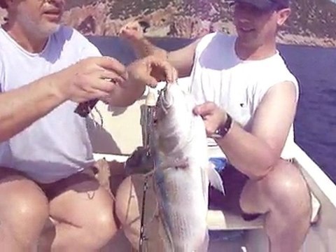 ADRASABDA JIGGING TURUNDA SINARIT AVI YAPTIK - adrasanbalik.com