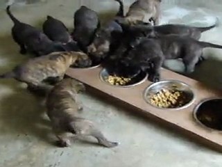 le goûter dans la nurserie quand il fait trop chaud dehors ou qu'il pleut