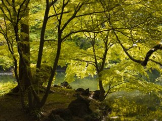 Nujabes - Silver Morning