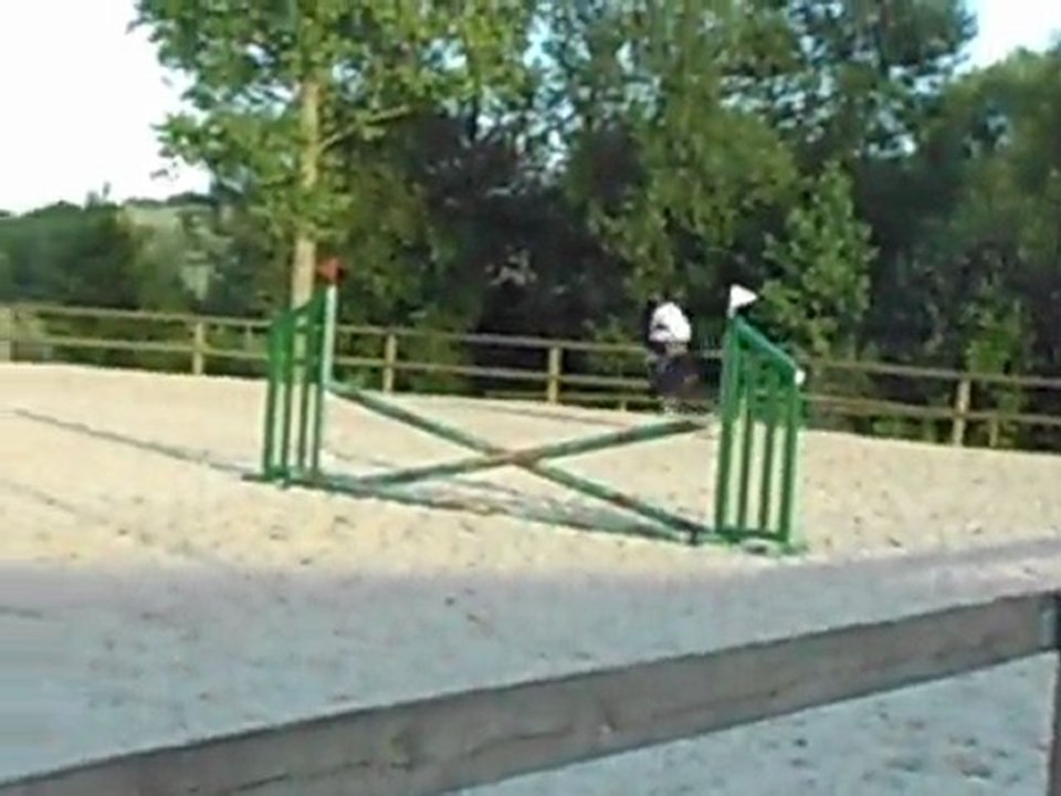 Cours obstacle 27 juin 2011 - 2