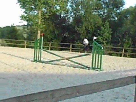Cours obstacle 27 juin 2011 - 2
