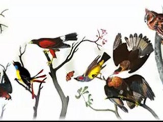 3mar ezzahi meknine ezzine