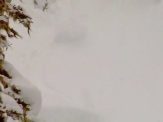 Polar Opposites - Crashes