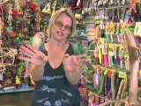 Learn About Green Cheeked Conure