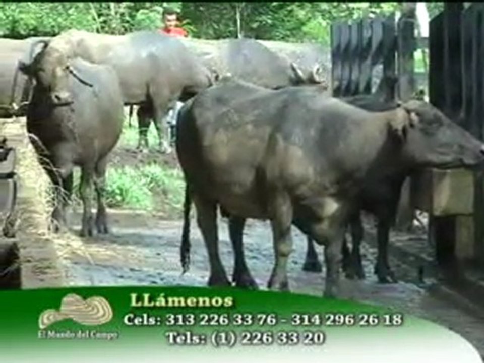 JULIO 14 DE 2011_ 2