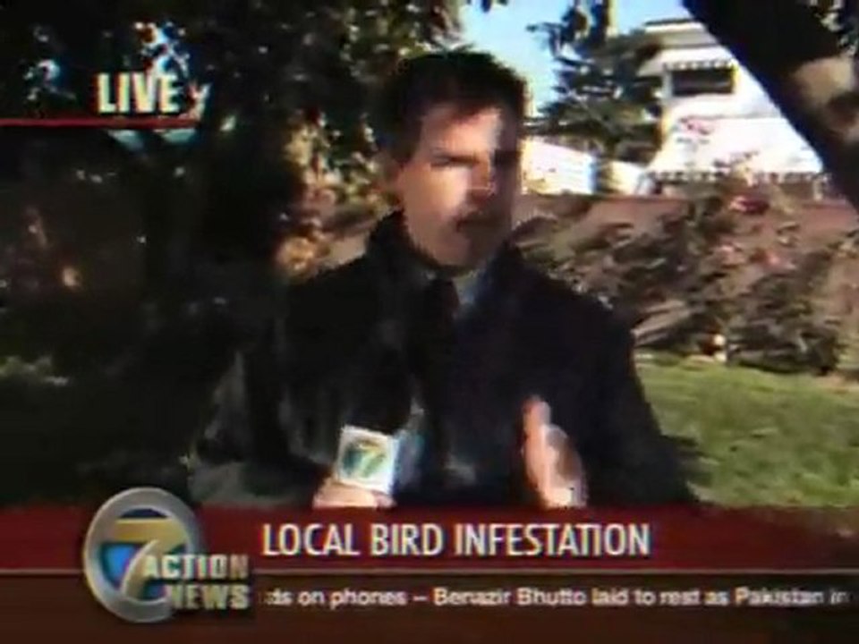 Vogel 1 - 0 Reporter Fail