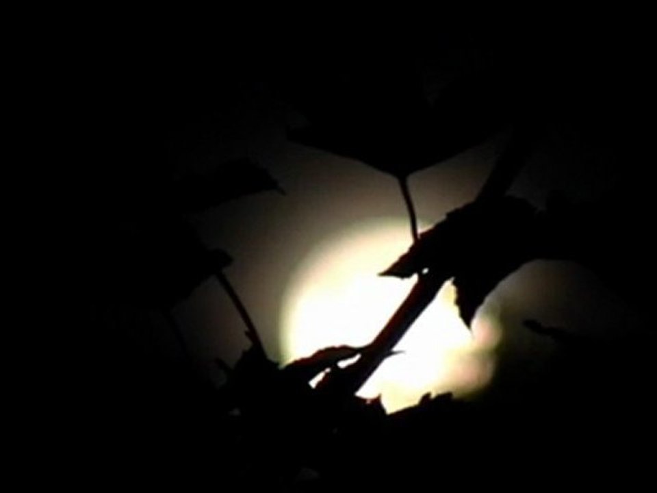 Présentation + dédicaces + Mini Edit Mw2