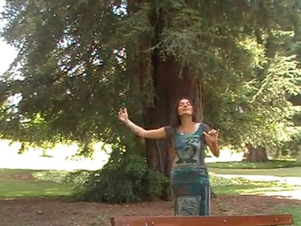 Carole Jehan Hypnothérapeute bien-être vidéo les 5 Tibétains (présentation) www.carolejehan.com et carolejehan.over-blog.com