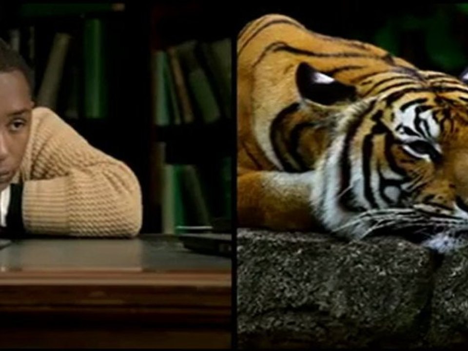 La fondation WWF célèbre ses 50 ans avec un nouveau clip