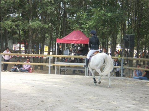 Lamotte beuvron 2011_0002