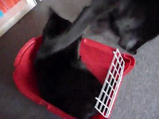 La Cage de Transport 2/2