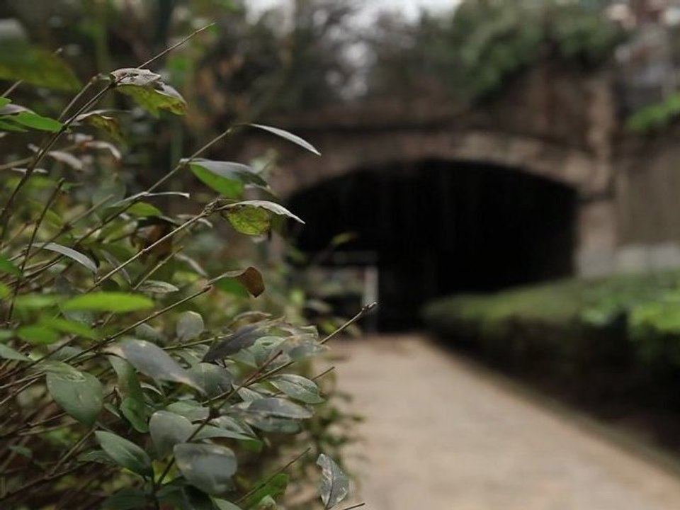 Combiner en ville la nature et la culture, le mineral et le vivant