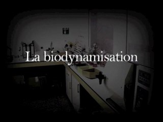 l'eau, la médiatrice- 2/3 (La dynamisation Marcel Violet)