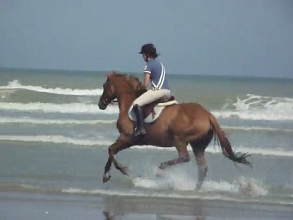 OYE PLAGE - LE TAPECUL