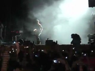 Tarkan, Konseri Erken Bitirdi