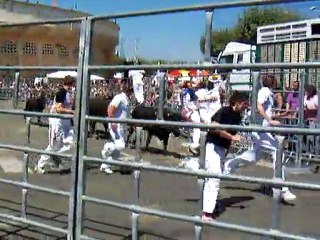 Madeleine 026Encierro