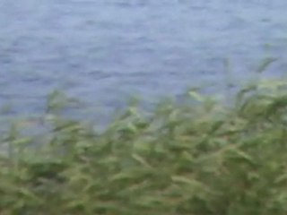 TVG-9 GREENPOLAND Gdańsk-Wyspa Sobieszewska