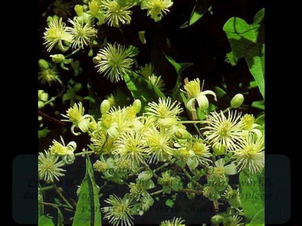 EVERYTHING  IS ENERGY