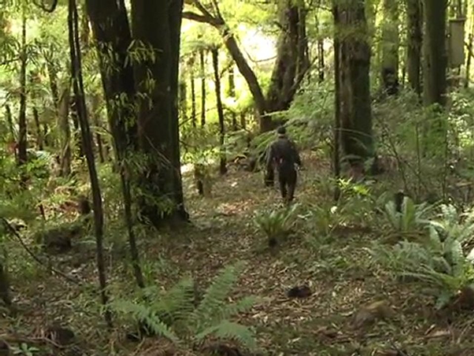 Rarität: Weißes Kiwi-Küken in Neuseeland