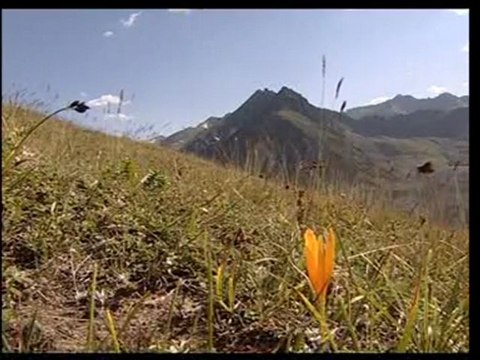 Akkuş ve Hilal Termal Anlatım Sunumu