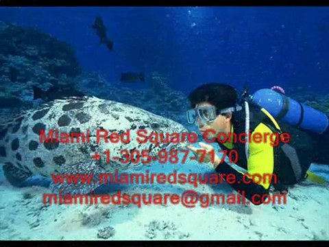 СПОРТ И СПОРТИВНЫЕ МЕРОПРИЯТИЯ В МАЙАМИ, США.