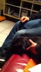 peypo leche la sucette