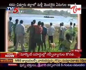 Elephants Group Halchal At Kadapa