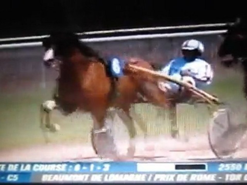 15/07/2011: 5è place pour Samouraï De Godrel à Beaumont De Lomagne