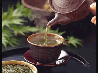 Propriedades do cha de Carqueja