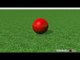 Cricket Video News - On This Day - 2nd January - Donald, Gibbs, Kapil Dev - Cricket World TV