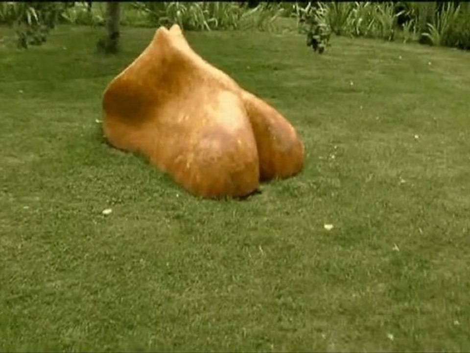 Artmazia le labyrinthe (Massy)