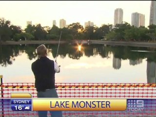 Ein Hai, eine Ente und eine peinliche Interview Fail