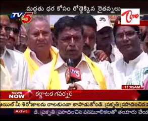 TDP Chief Chandra babu To Palamuru On Farmers Problems