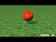Cricket Video News - On This Day - 11th June - Kaif, Panesar, Dev  - Cricket World TV