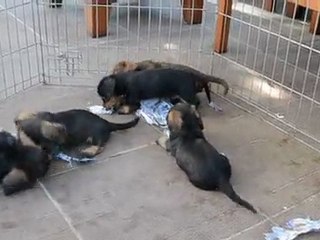 EDUCATION A LA PROPRETE !