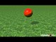 Cricket Video News - On This Day - 14th June - Muralitharan, Lara, Bradman  - Cricket World TV
